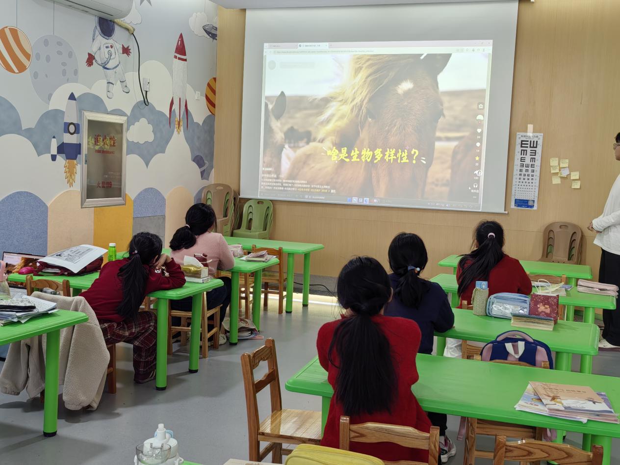 1772094205407010.jpg 图片1.jpg