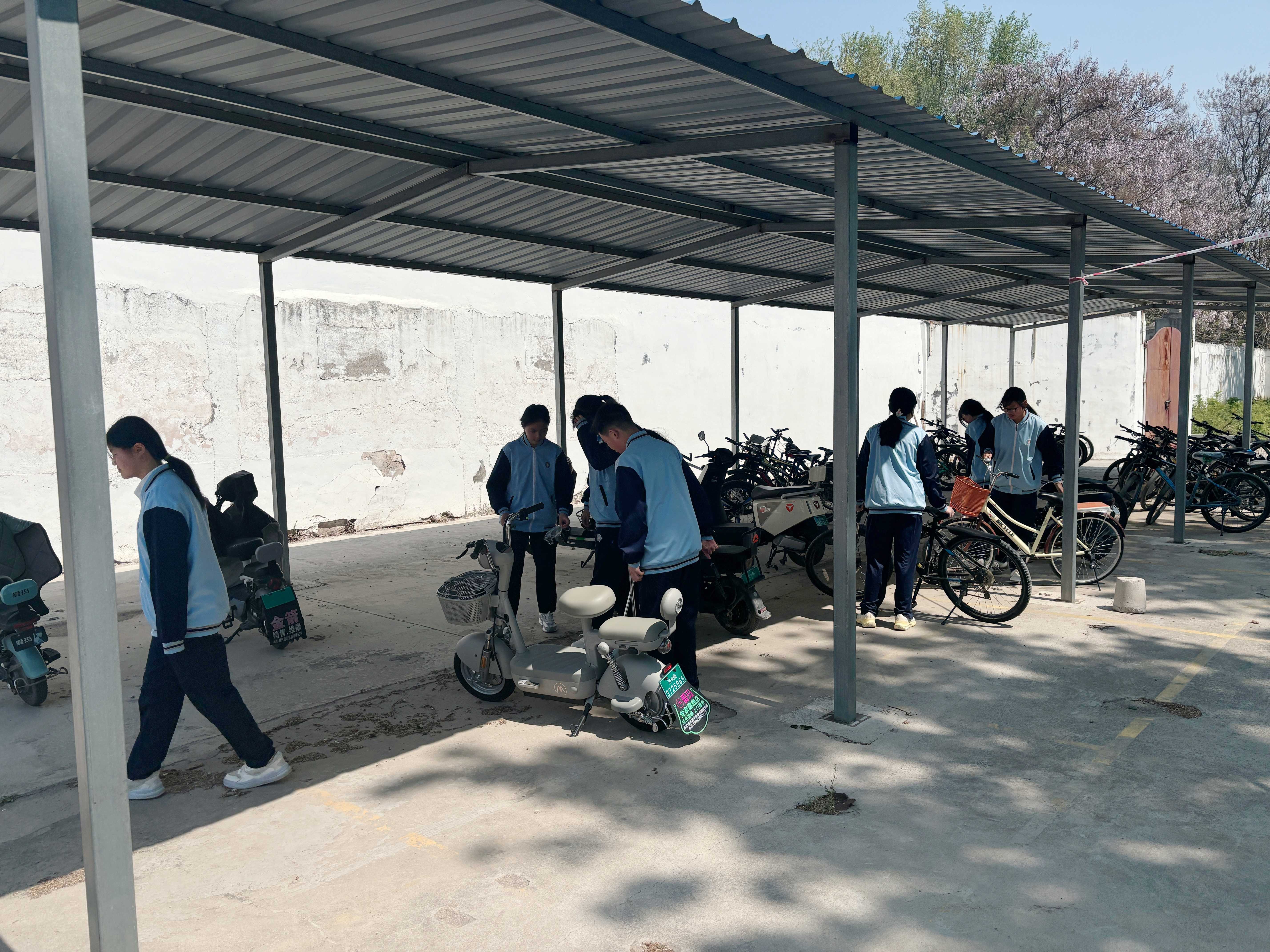 1775697547442623.jpg 4(1).jpg